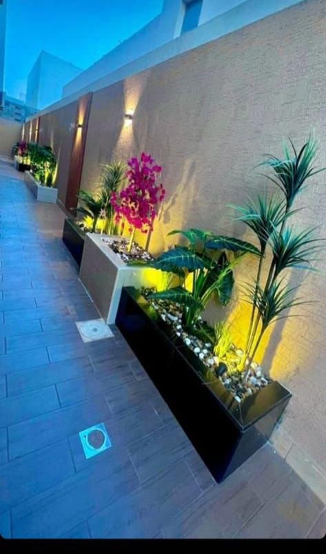 احواض زراعية القطيف img 20260211 wa0061